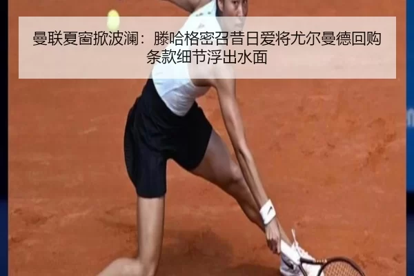 man-lian-xia-chuang-xian-bo-lan-teng-ha-ge-mi-zhao-xi-ri-ai-jiang-you-er-man-de-hui-gou-tiao-kuan-xi-jie-fu-chu-shui-2-562.jpg